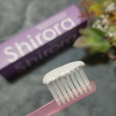 シローラクレイホワイトニング ジャスミンミント/Shirora/歯磨き粉を使ったクチコミ（3枚目）