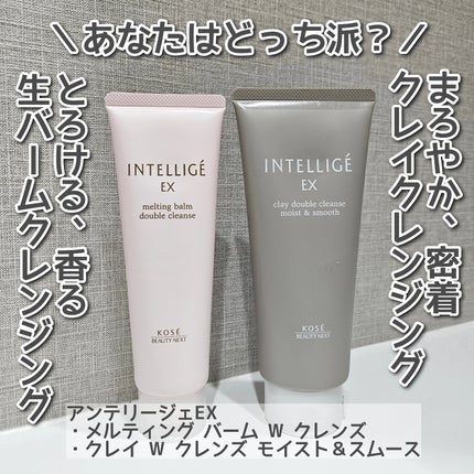 クレイ W クレンズ/アンテリージェEX/クレンジングクリームを使ったクチコミ(1枚目)