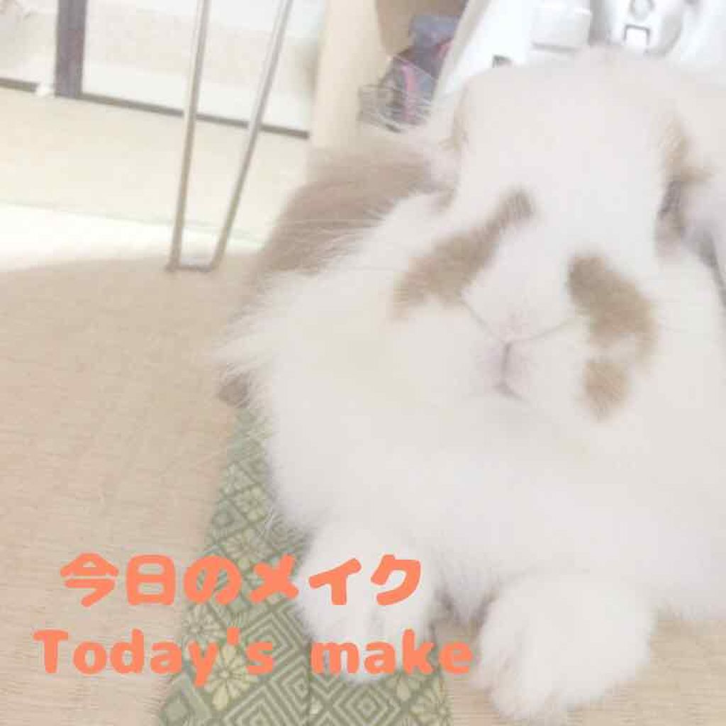 【旧品】パーフェクトスタイリストアイズ/キャンメイク/アイシャドウパレットを使ったクチコミ(1枚目)