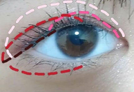 シルキースフレアイズ/キャンメイク/アイシャドウパレットを使ったクチコミ(2枚目)