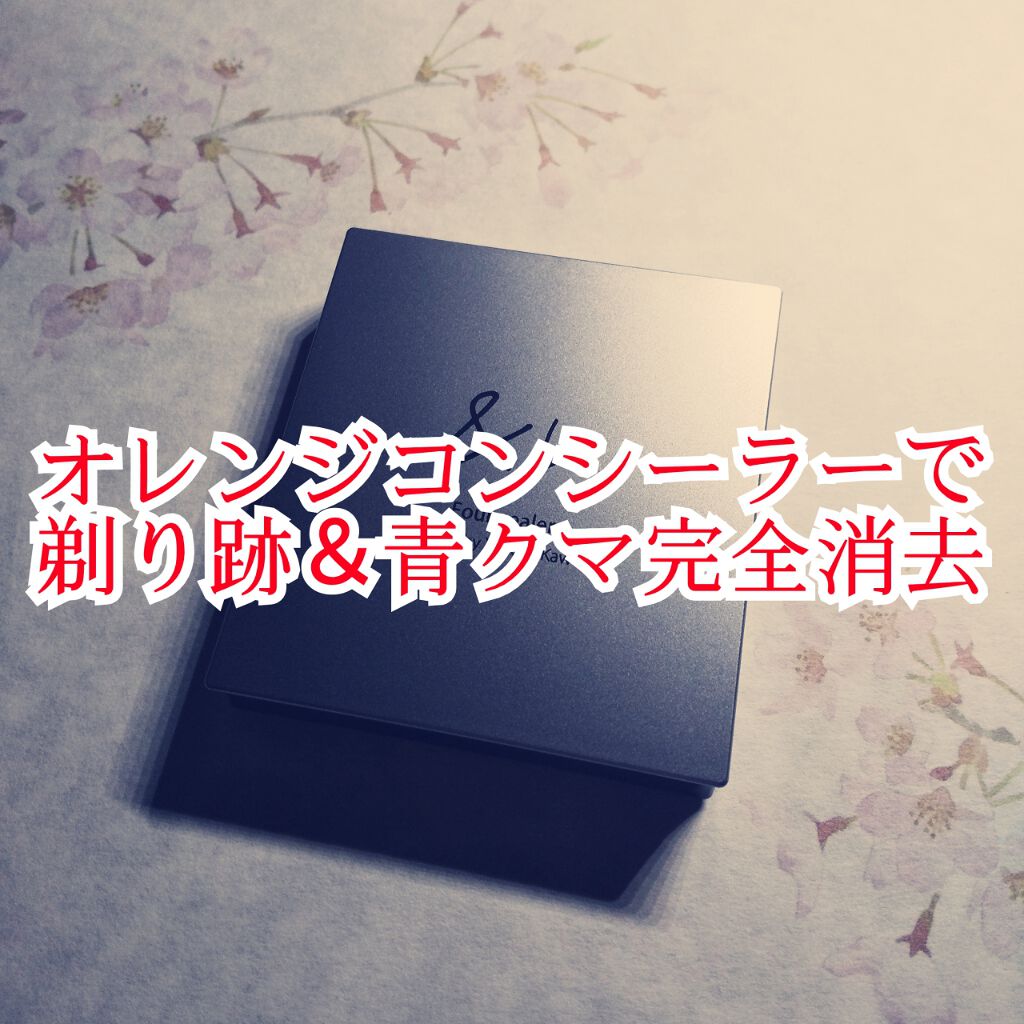 &be ファンシーラー/&be/パレットコンシーラーを使ったクチコミ(1枚目)