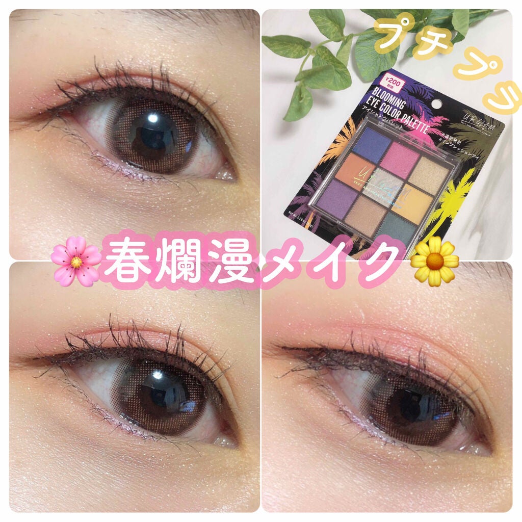 UR GLAM BLOOMING EYE COLOR PALETTE/U R GLAM/アイシャドウパレットを使ったクチコミ(1枚目)