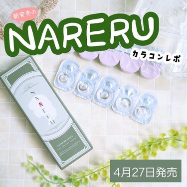 NARERU 1day 皐月オリーブ/NARERU/ワンデー（１DAY）カラコンを使ったクチコミ（1枚目）