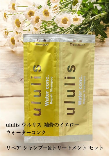 ウォーターコンク リペアシャンプー/ヘアトリートメント/ululis/シャンプー・コンディショナーを使ったクチコミ（1枚目）