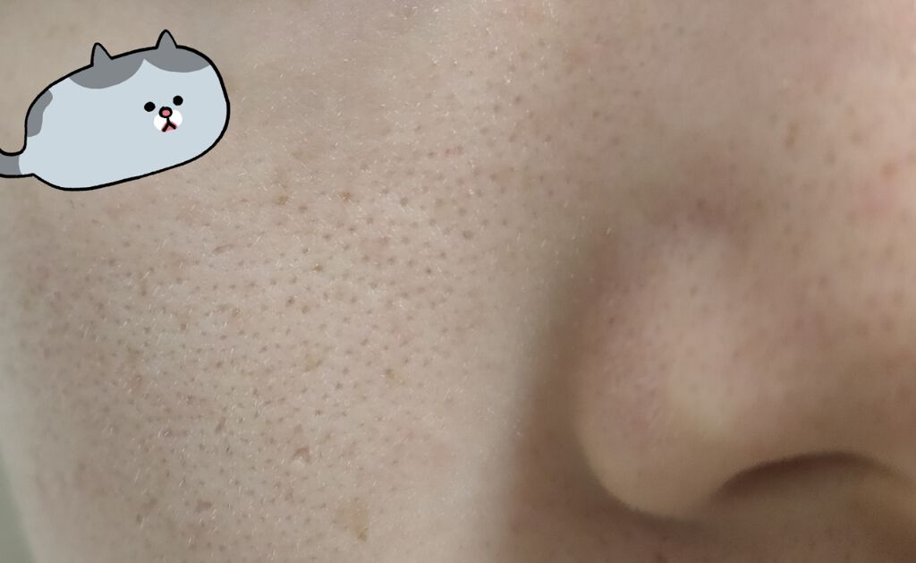 シークレットスキンCCベースゼロ/KATE/CCクリームを使ったクチコミ(3枚目)