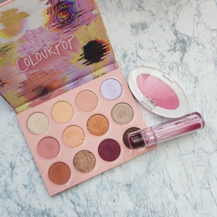 HEAVY PETAL/ColourPop/アイシャドウパレットを使ったクチコミ(3枚目)