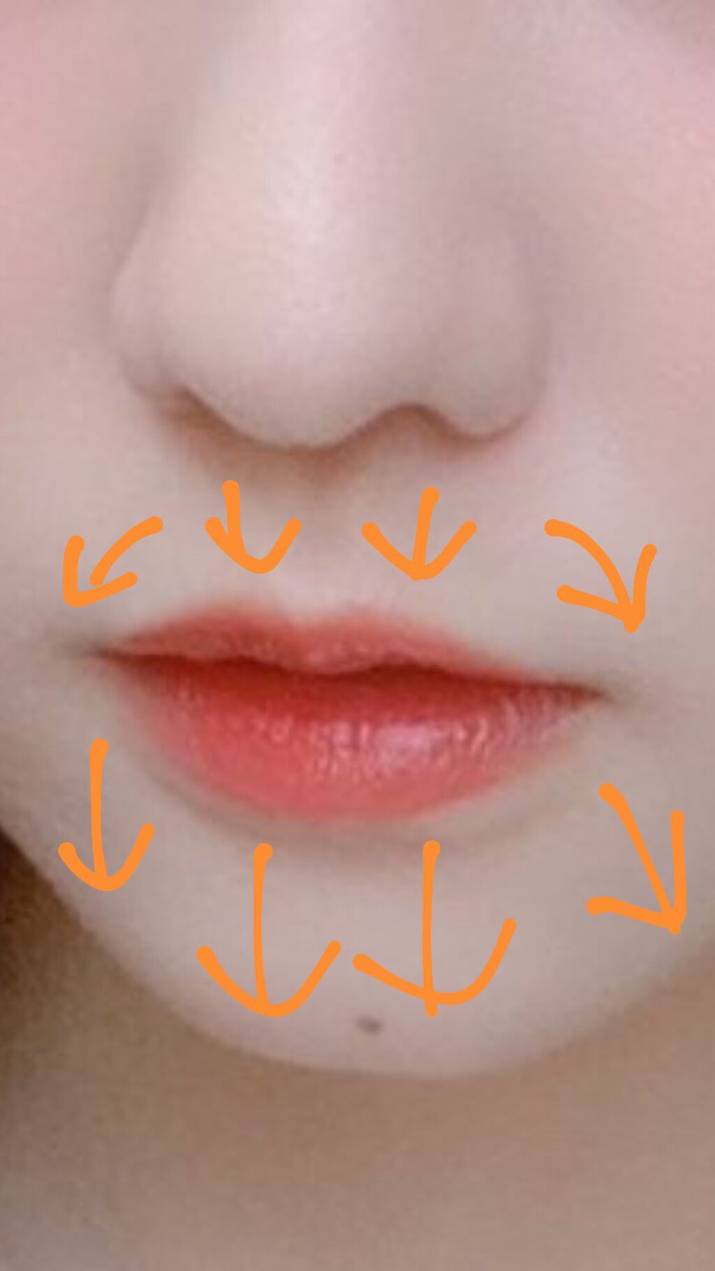 bi-hada ompa L ホルダー替刃2個付/貝印/シェーバーを使ったクチコミ(3枚目)