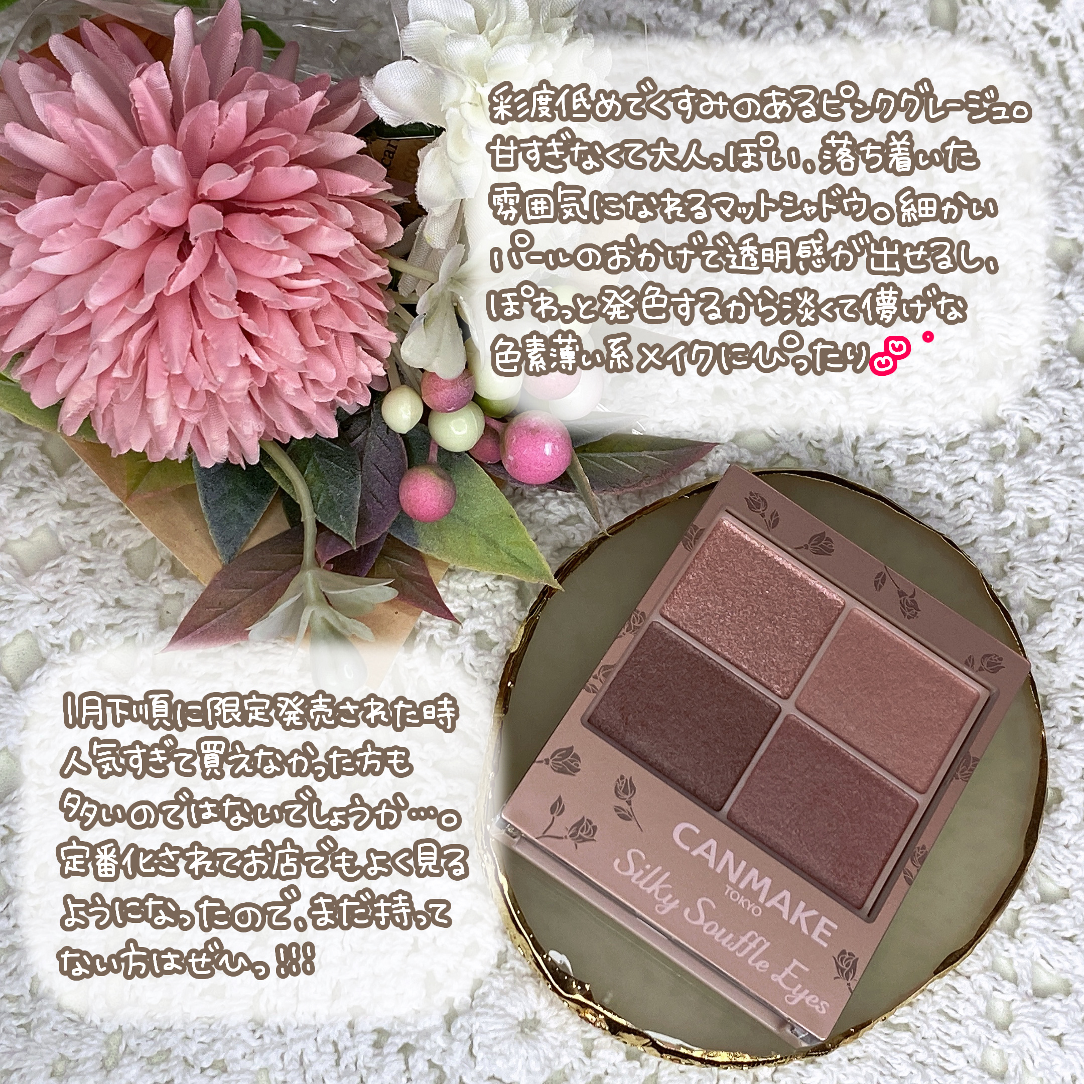 シルキースフレアイズ（マットタイプ）/キャンメイク/アイシャドウパレットを使ったクチコミ（2枚目）