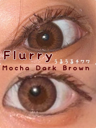 Flurry by colors 1day モカダークブラウン(うるうるチワワ)/Flurry by colos/ワンデー（１DAY）カラコンを使ったクチコミ（1枚目）