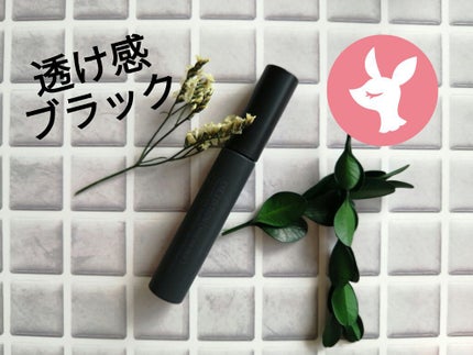 エテュセ アイエディション (マスカラベース)/ettusais/マスカラ下地を使ったクチコミ(1枚目)