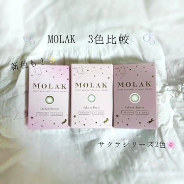 MOLAK 1month サクラペタル/MOLAK/１ヶ月（１MONTH）カラコンを使ったクチコミ（1枚目）