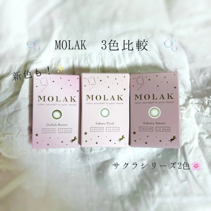 MOLAK 1month/MOLAK/1ヶ月(1MONTH)カラコンを使ったクチコミ(1枚目)