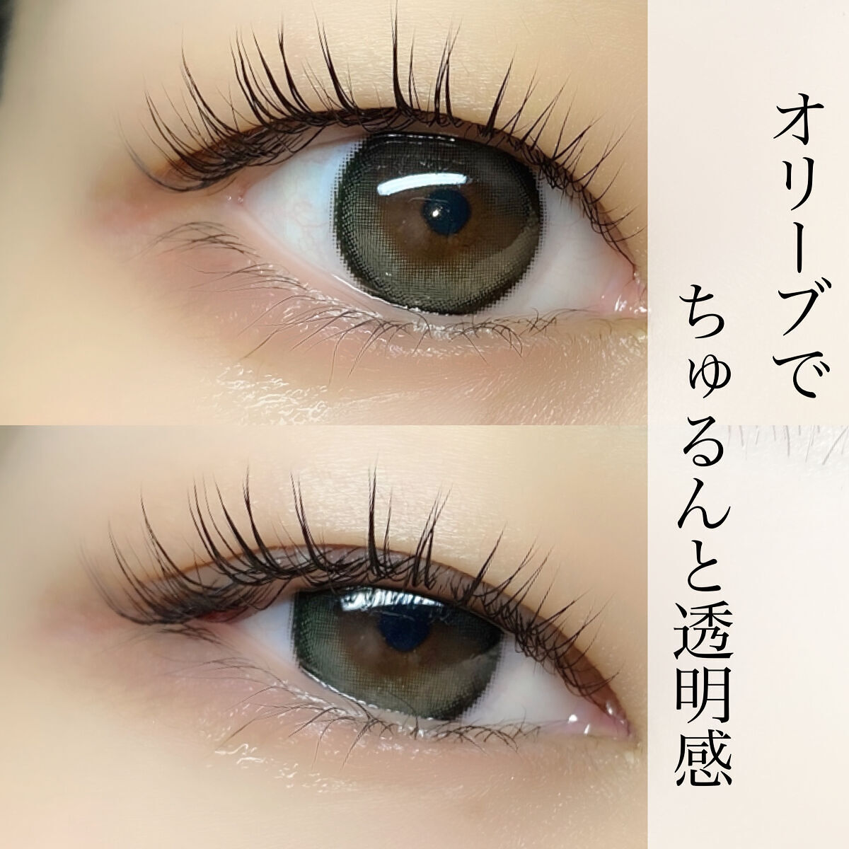 Secretive Kristen/Hapa kristin/カラーコンタクトレンズを使ったクチコミ（1枚目）