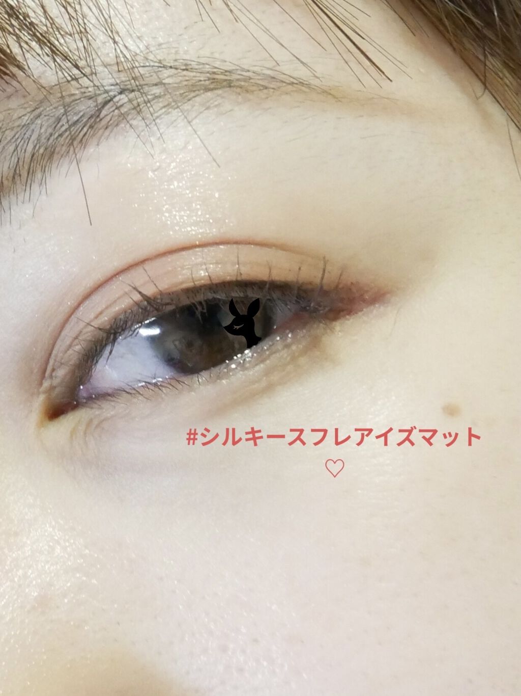シルキースフレアイズ（マットタイプ）/キャンメイク/アイシャドウパレットを使ったクチコミ（1枚目）