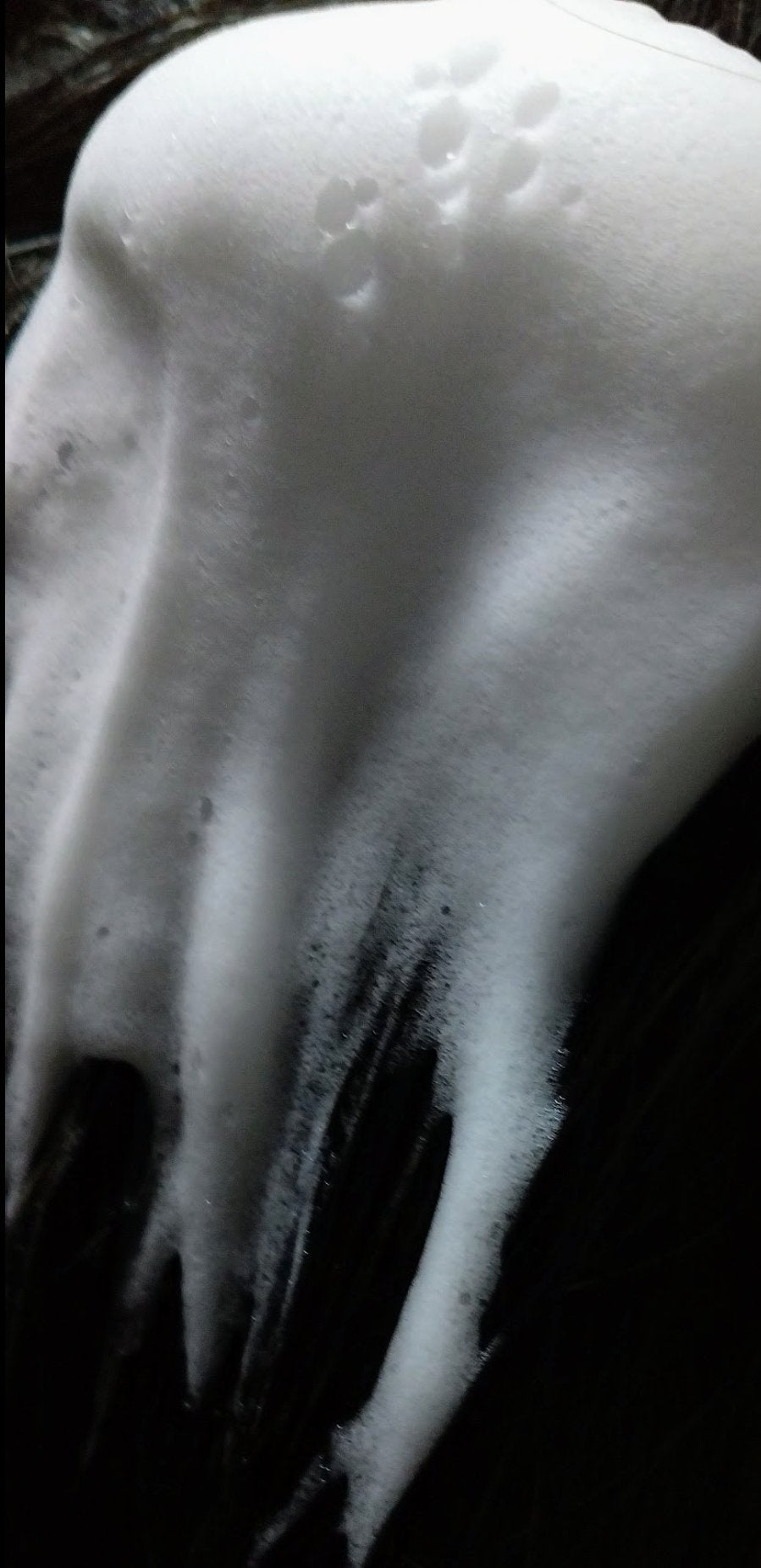 ハーバニエンス 炭酸ヘッドスパシャンプー_バニスパ/HERBANIENCE/市販シャンプーを使ったクチコミ(4枚目)