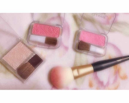 パールグロウハイライト/CEZANNE/パウダーハイライトを使ったクチコミ(1枚目)