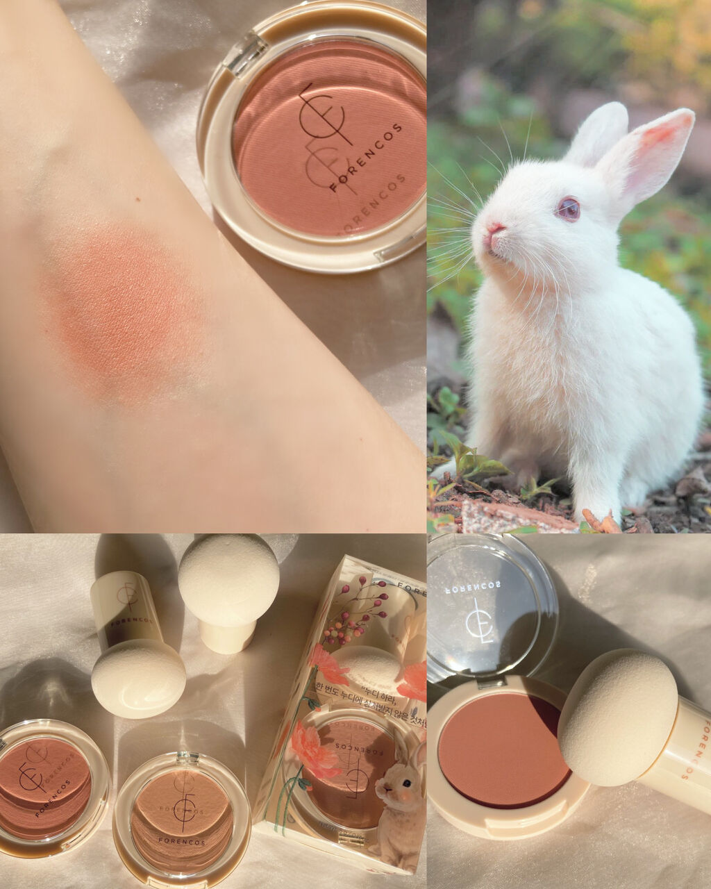 コスメうさぎ org.jpg