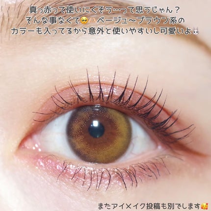 エクスプローラ12色 動物アイシャドウパレット/PERFECT DIARY/アイシャドウパレットを使ったクチコミ(5枚目)