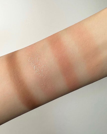 01 ドライマンゴー チューリップ