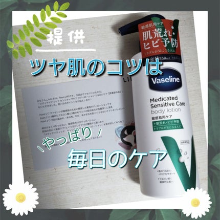 ã¡ãã£ã±ã€ãã£ãã ã»ã³ã·ãã£ãã±ã¢ ããã£ããŒã·ã§ã³ ããããã±ã¢ <å»è¬éšå€å>/ãŽã¡ã»ãªã³/ããã£ããŒã·ã§ã³ã䜿ã£ãã¯ãã³ãïŒ1æç®ïŒ