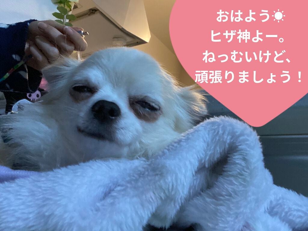 グラスティングウォーターティント/rom&nd/リップティントを使ったクチコミ(4枚目)