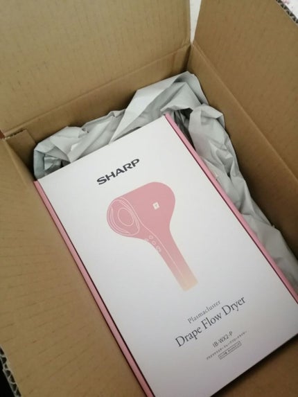 シャープ プラズマクラスタードレープフロードライヤー<IB-WX2>