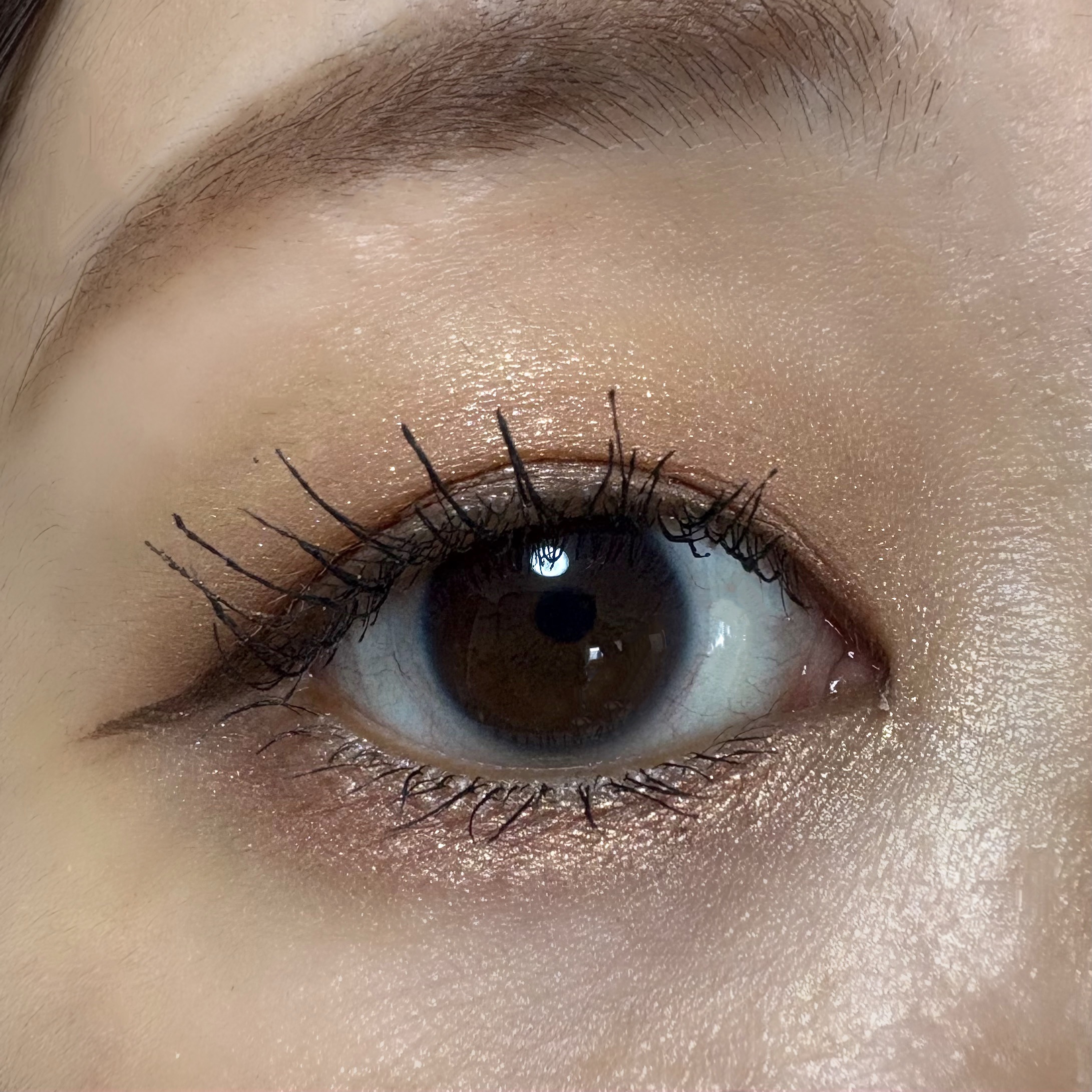 ピュアグラッシュ ハイライター/2aN/パウダーハイライトを使ったクチコミ（3枚目）