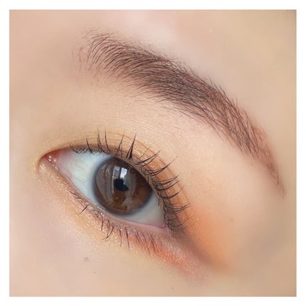 ラスティングリキッドライナー/キャンメイク/リキッドアイライナーを使ったクチコミ(4枚目)