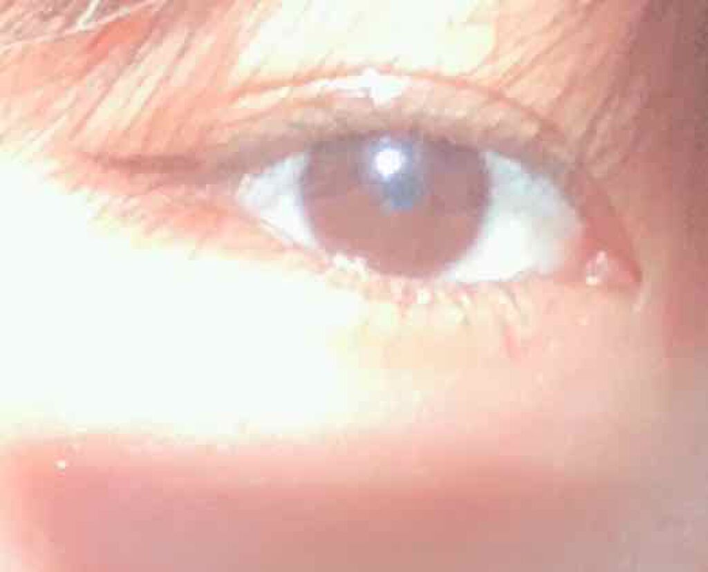 メジカライナー ナイト＆ハード/シェモア/二重まぶた用アイテムを使ったクチコミ（2枚目）