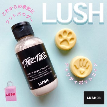 🐾・・・・・・・・・・・・・・・・・・・🐾

　LUSH 
    素足のTブレーク(パパの足)
    ￥１，１００

    チャリティポット コイン 人権 動物の権利
    ￥１６０

🐾・・・