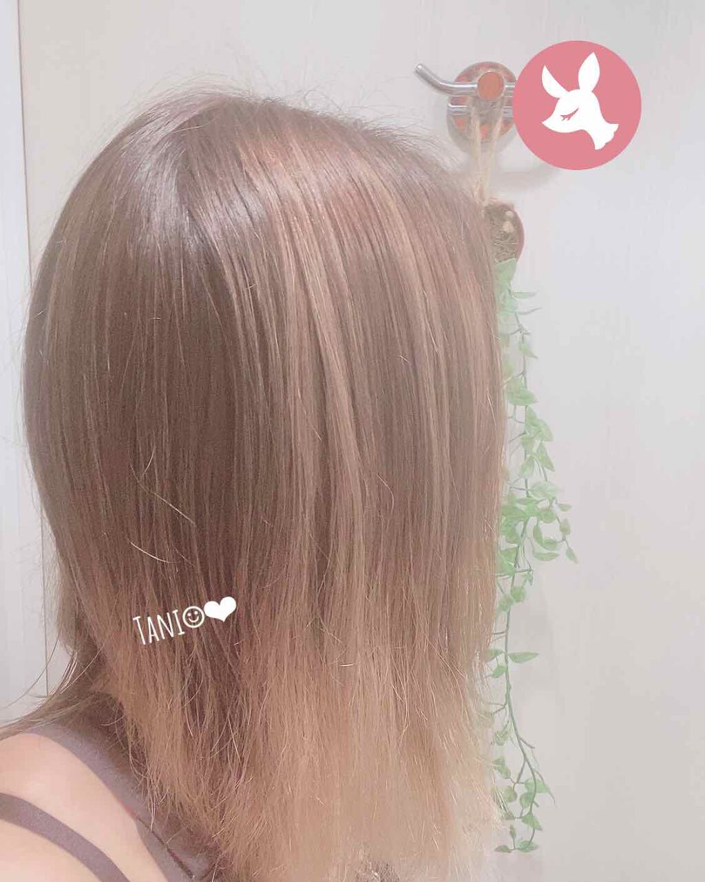 &honey メルティ モイストリペア ヘアオイル 3.0/&honey/ヘアオイルを使ったクチコミ（2枚目）