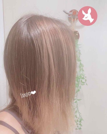 &honey Melty モイストリペア ヘアオイル 3.0/&honey/ヘアオイルを使ったクチコミ（2枚目）