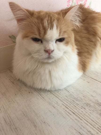 ジューシーラスティングティント/rom&nd/リップティントを使ったクチコミ(8枚目)