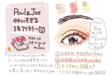 アイカラー CS(1/5限定発売)/PAUL & JOE BEAUTE/パウダーアイシャドウを使ったクチコミ（1枚目）