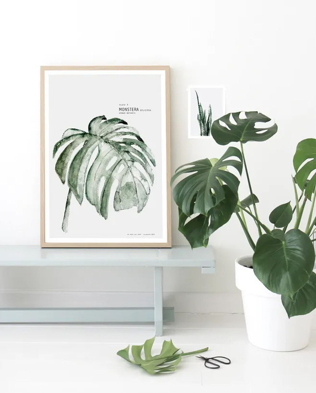 shinasaka 脱毛器 光美容器/shinasaka/家庭用脱毛器を使ったクチコミ(4枚目)