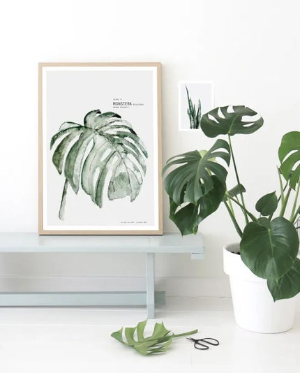 shinasaka 脱毛器 光美容器/shinasaka/家庭用脱毛器を使ったクチコミ(1枚目)