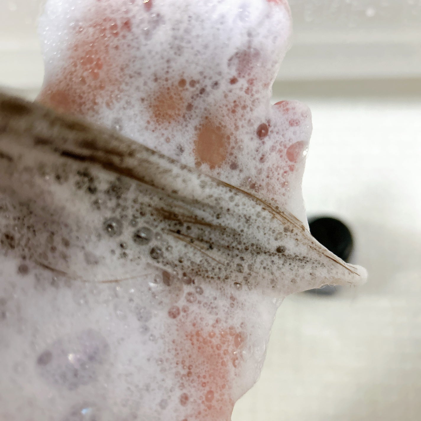 エブリカラーフォームシャンプー/アンナドンナ/市販シャンプーを使ったクチコミ(3枚目)