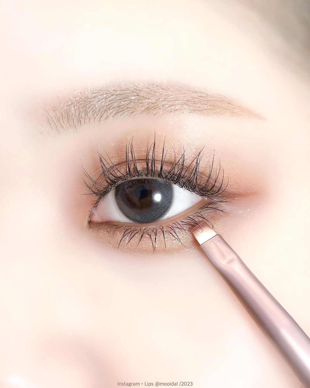 MDショールモーメント アイシャドウパレット/mude/アイシャドウパレットを使ったクチコミ（3枚目）