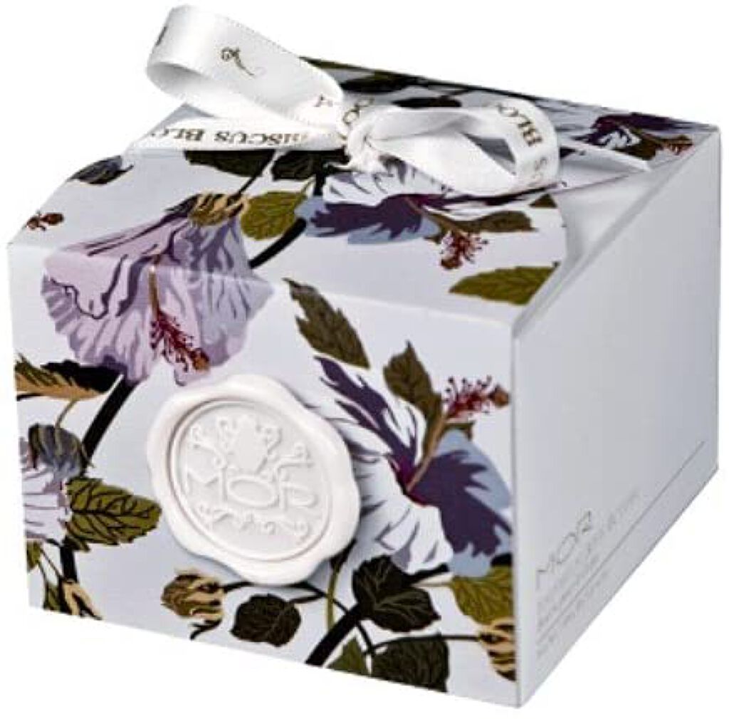 ハイビスカスブルーム