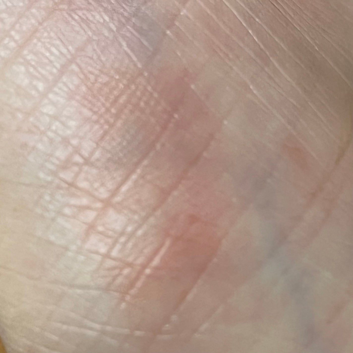 ベルベットブラーリングフィグシングティント/wakemake/リップティントを使ったクチコミ(3枚目)