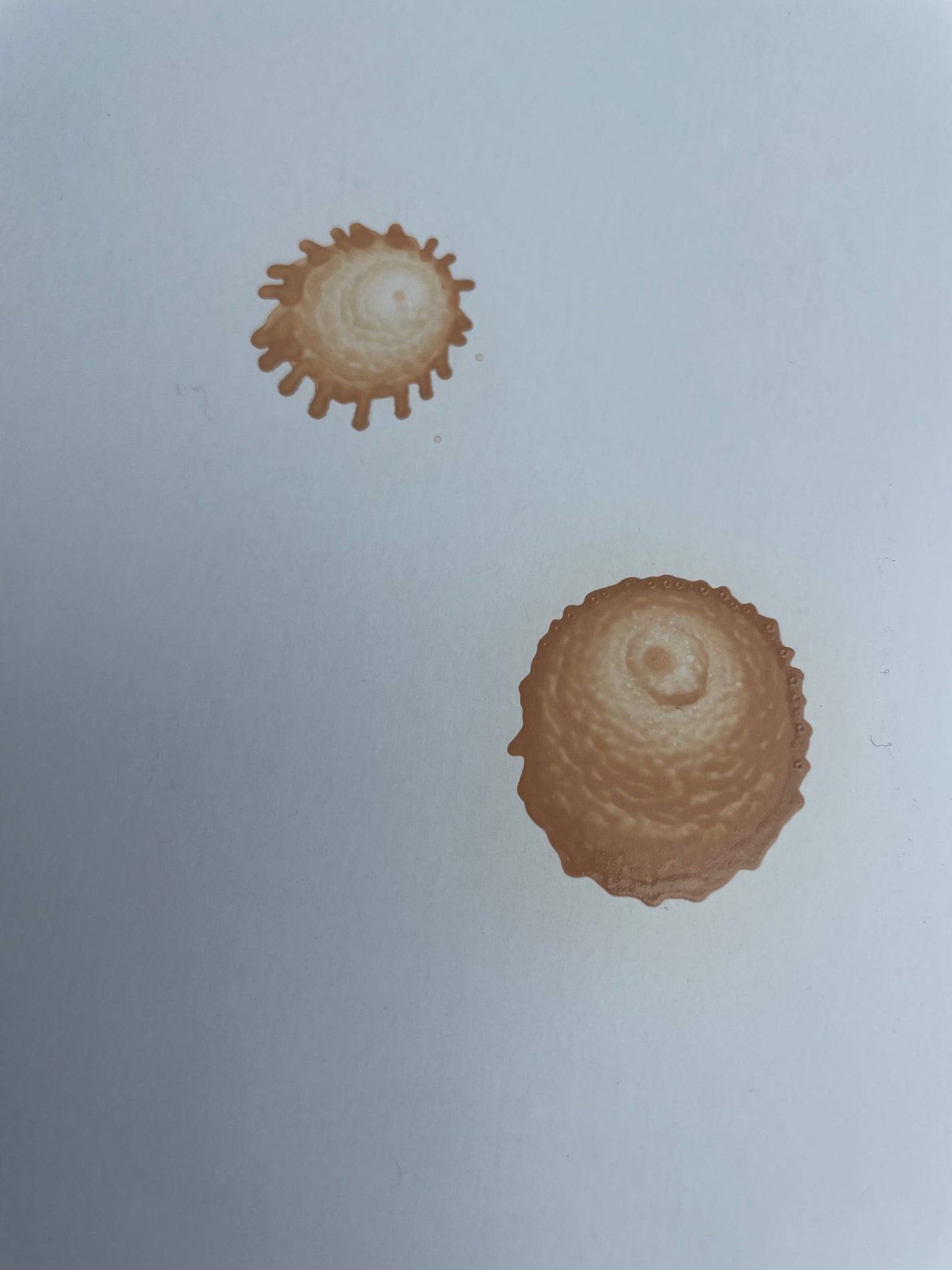 クール スキンウェア BB EX/ESPRIQUE/BBクリームを使ったクチコミ(5枚目)