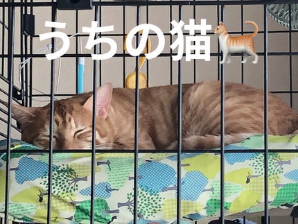 水99%おしりふき/赤ちゃん本舗/ティッシュを使ったクチコミ(2枚目)