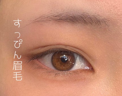 リシェ アイブロウペンシルS/Visée/アイブロウペンシルを使ったクチコミ(5枚目)