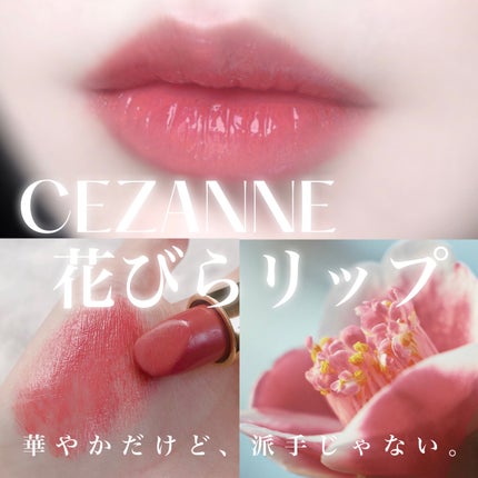 ラスティング リップカラーN/CEZANNE/口紅を使ったクチコミ(1枚目)