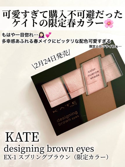 デザイニングブラウンアイズ/KATE/アイシャドウパレットを使ったクチコミ(2枚目)
