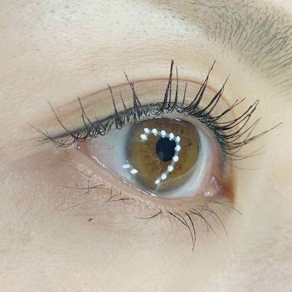 ぷーある on LIPS 「マツエクをやめて#emaked(エマーキット)でマツ育して、ま..」(3枚目)