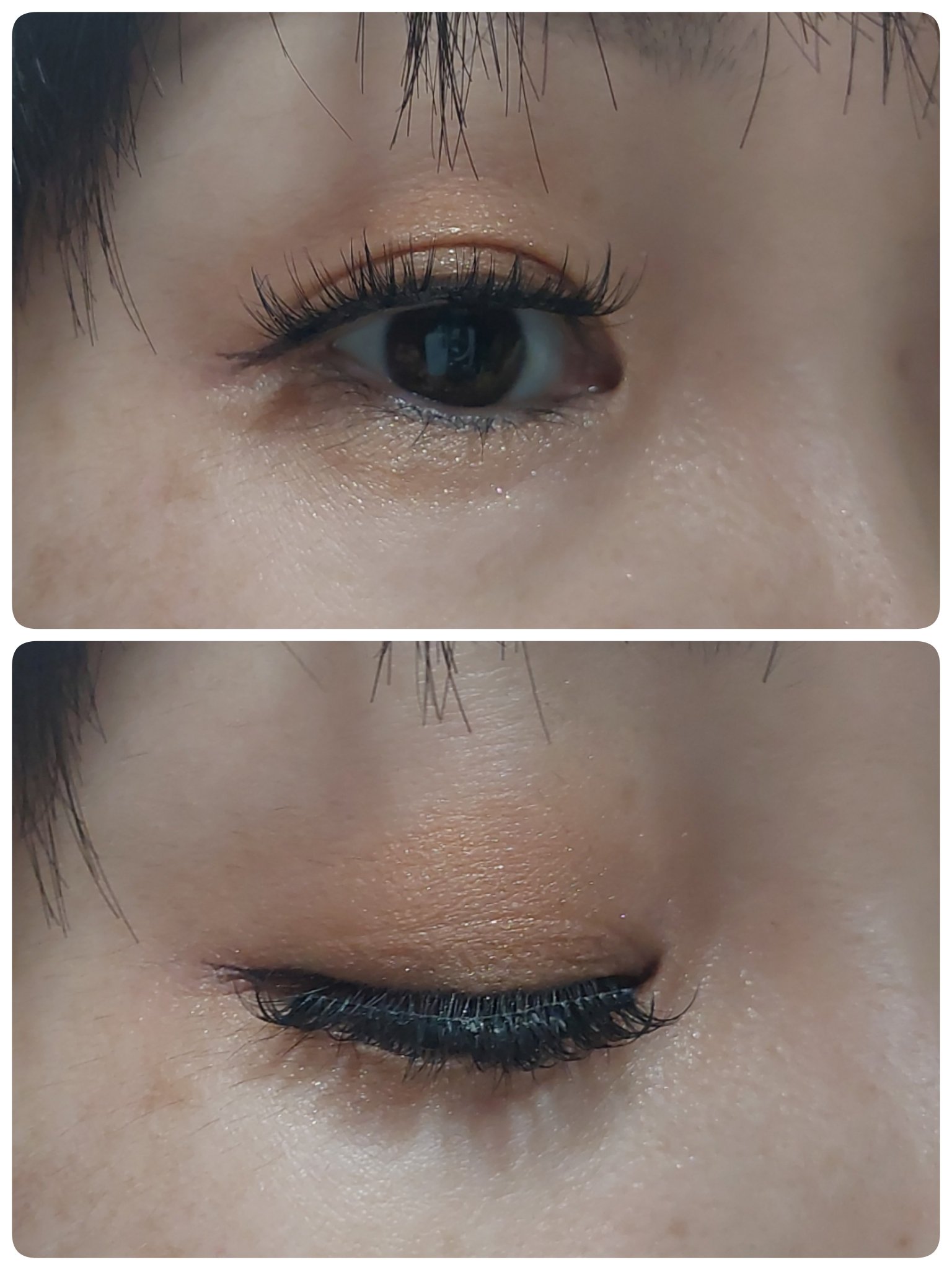 つけまつ毛/SHEIN/つけまつげを使ったクチコミ（2枚目）