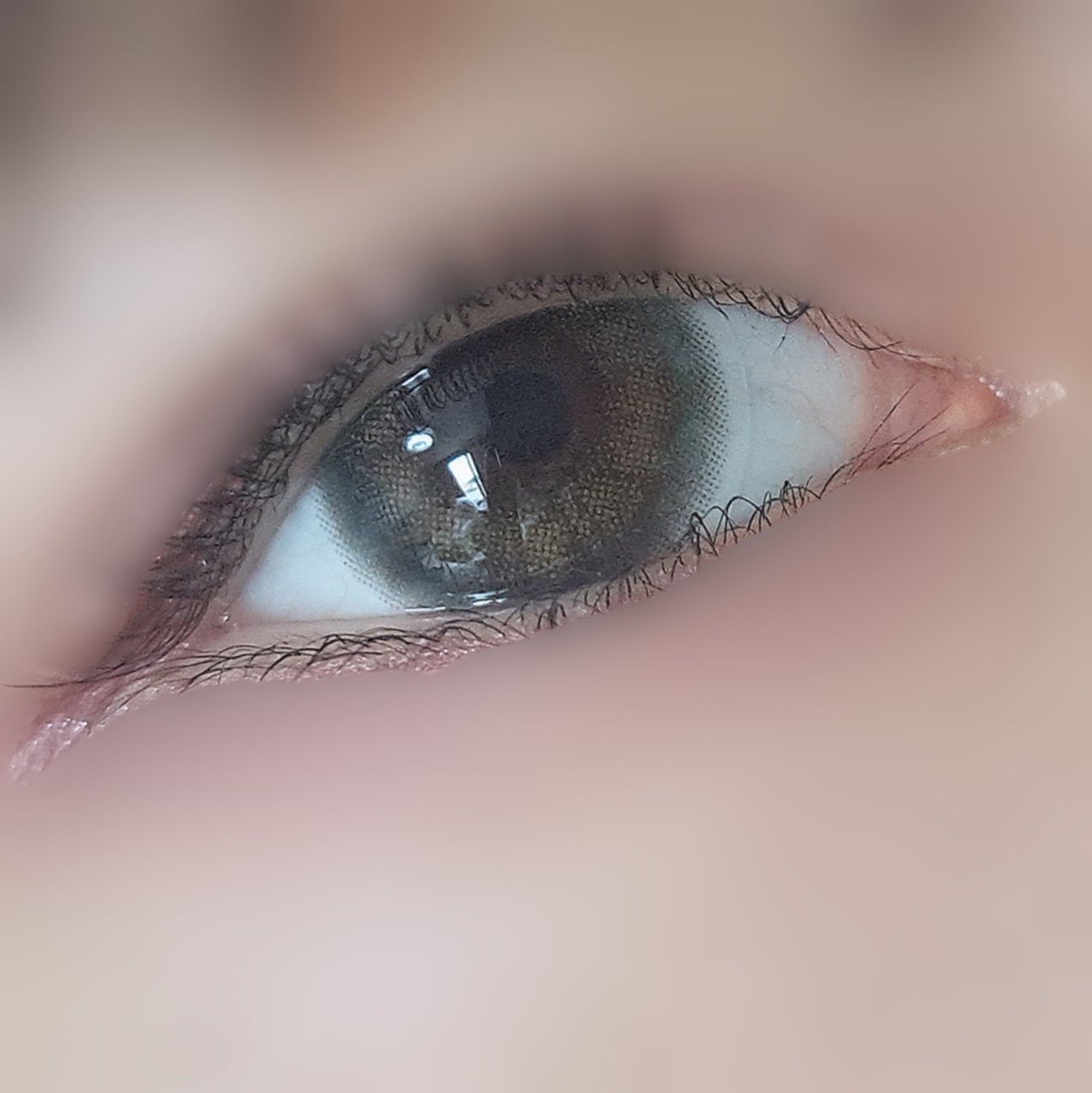 ⋆⸜💚⸝‍⋆透明感グリーンカラコン⋆⸜💚⸝‍⋆

アイクローゼット
シトロン

DIA 14.5mm
着色直径 13.8mm
BC 8.8

前発売されたカラコン福袋に入ってた中の1つ！
普段好んで付けているものよりは大きいのですが、黒