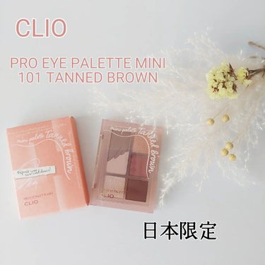 プロ アイパレット ミニ/CLIO/アイシャドウパレットを使ったクチコミ（1枚目）