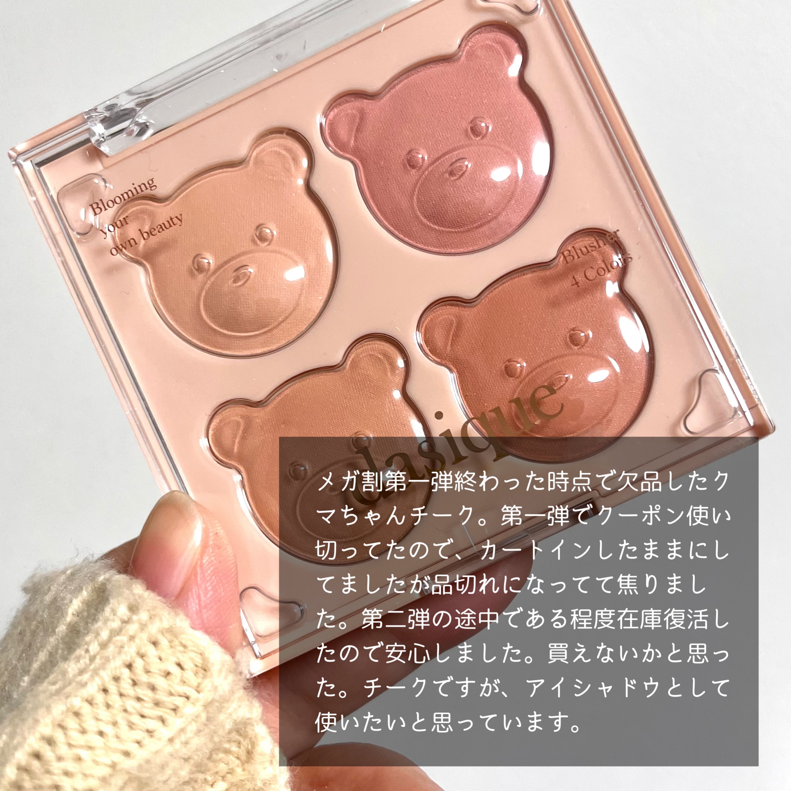 プロ アイ パレット エアー/CLIO/アイシャドウパレットを使ったクチコミ（3枚目）